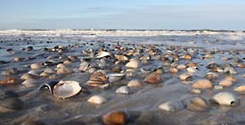 Weltnaturerbe Wattenmeer